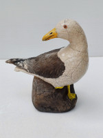 /album/galerie-photos/goeland-juillet-2024-jpg/